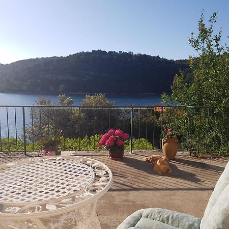Guest House Busurelo Polače 客房 照片